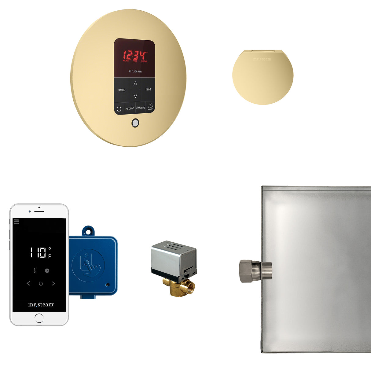 Mr.Steam Butler Aroma Designer Steam Shower Control Package