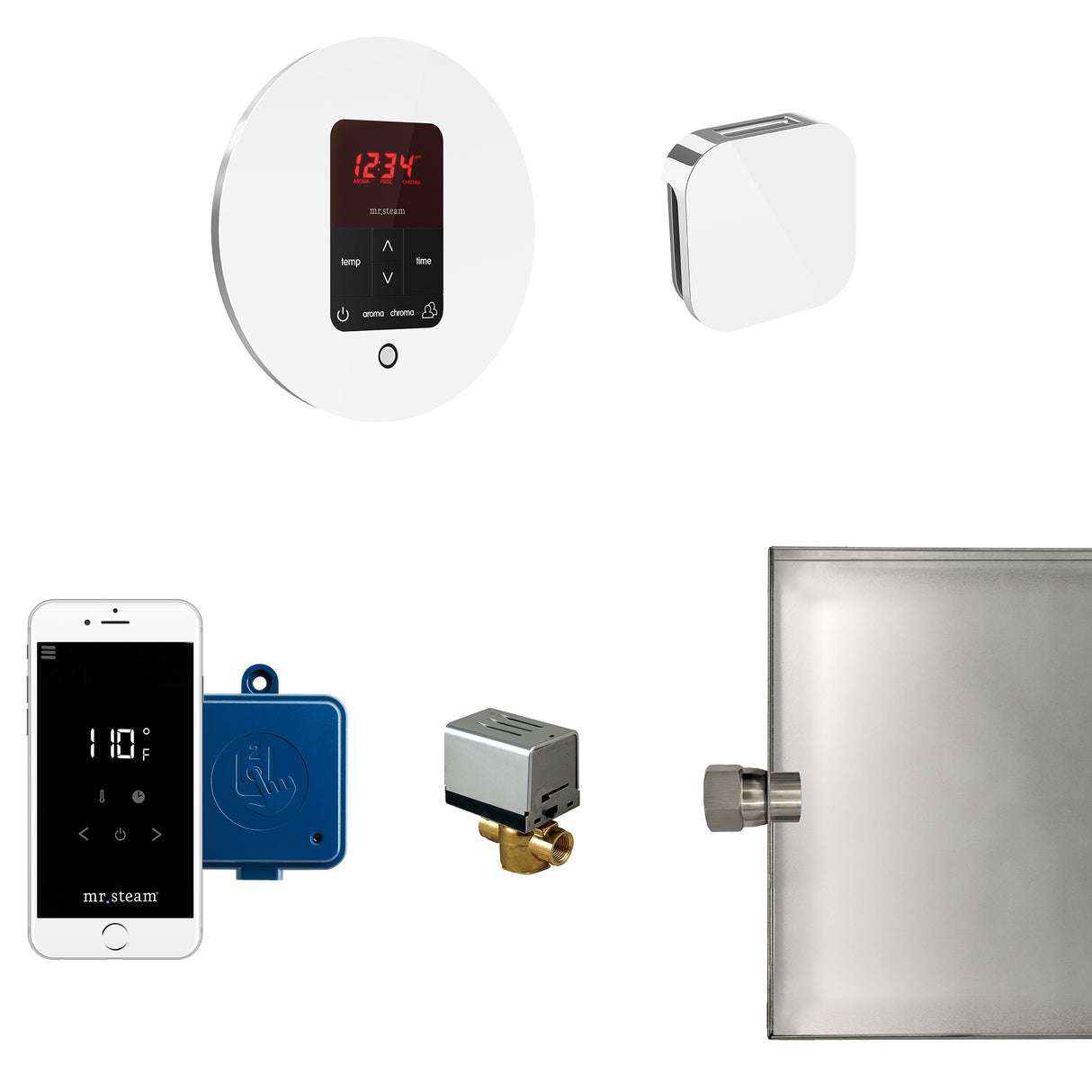 Mr.Steam Butler Aroma Designer Steam Shower Control Package