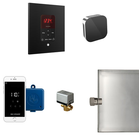 Mr.Steam Butler Aroma Designer Steam Shower Control Package