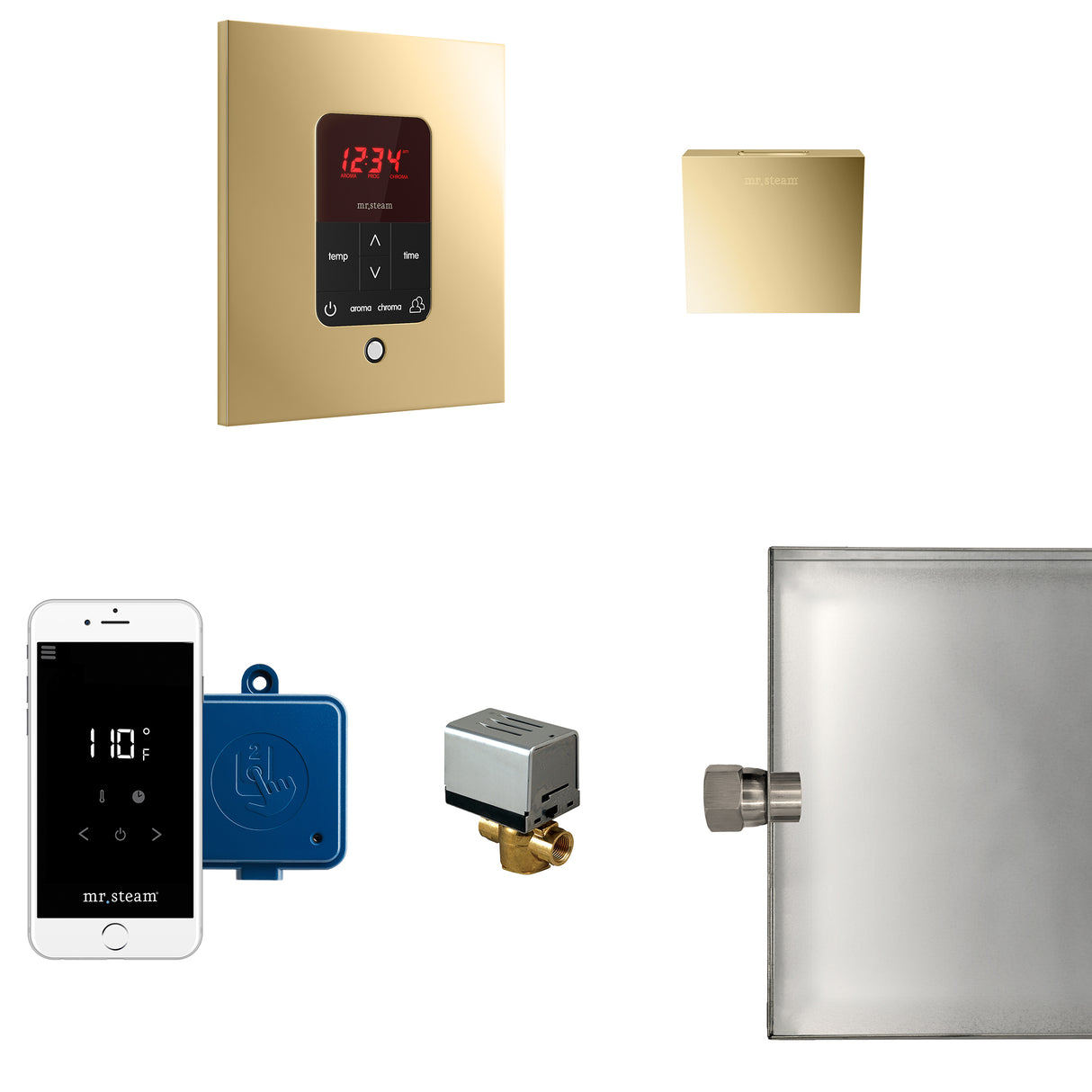 Mr.Steam Butler Aroma Designer Steam Shower Control Package