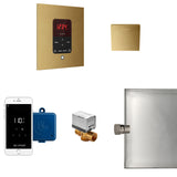 Mr.Steam Butler Aroma Designer Steam Shower Control Package