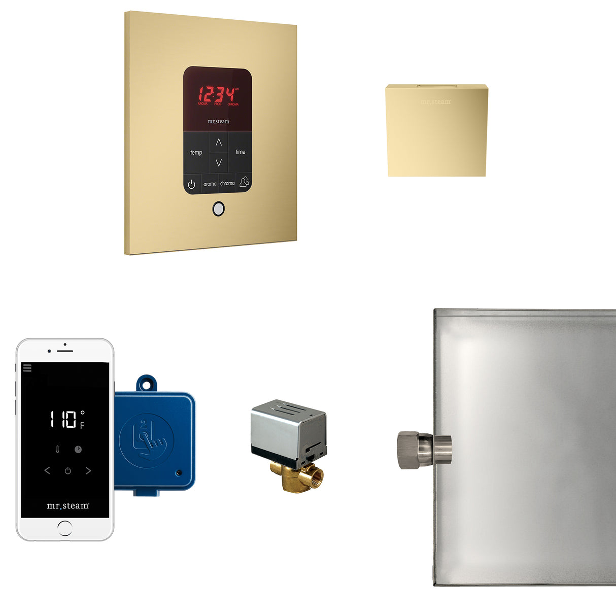 Mr.Steam Butler Aroma Designer Steam Shower Control Package
