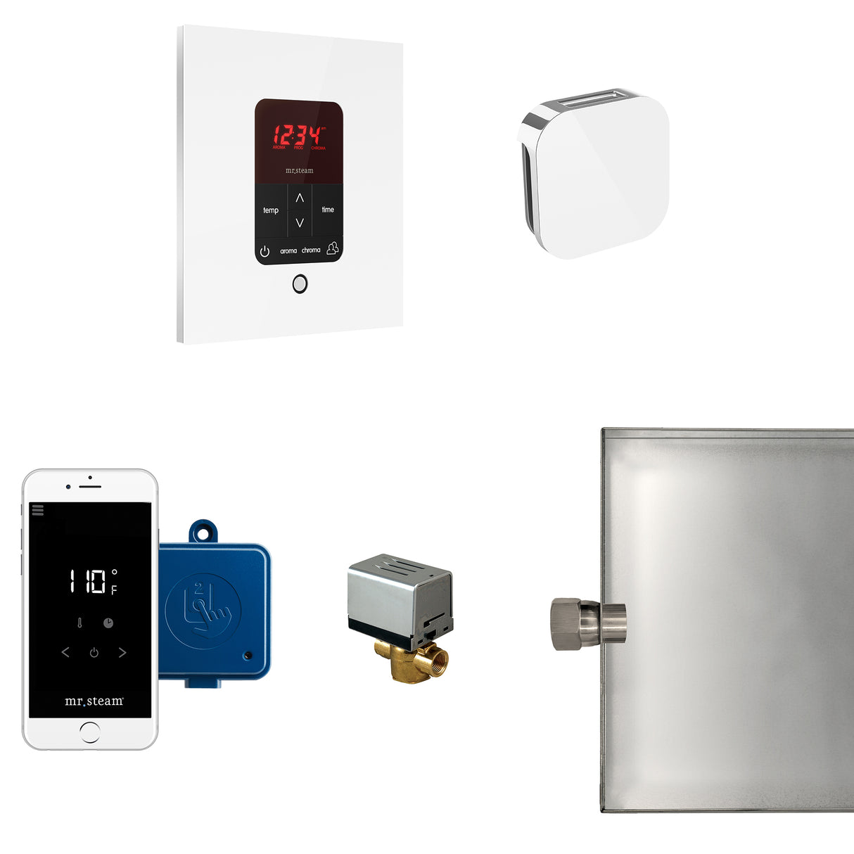 Mr.Steam Butler Aroma Designer Steam Shower Control Package