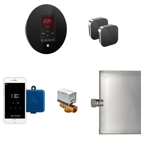 Mr.Steam Butler Max Aroma Designer Steam Shower Control Package