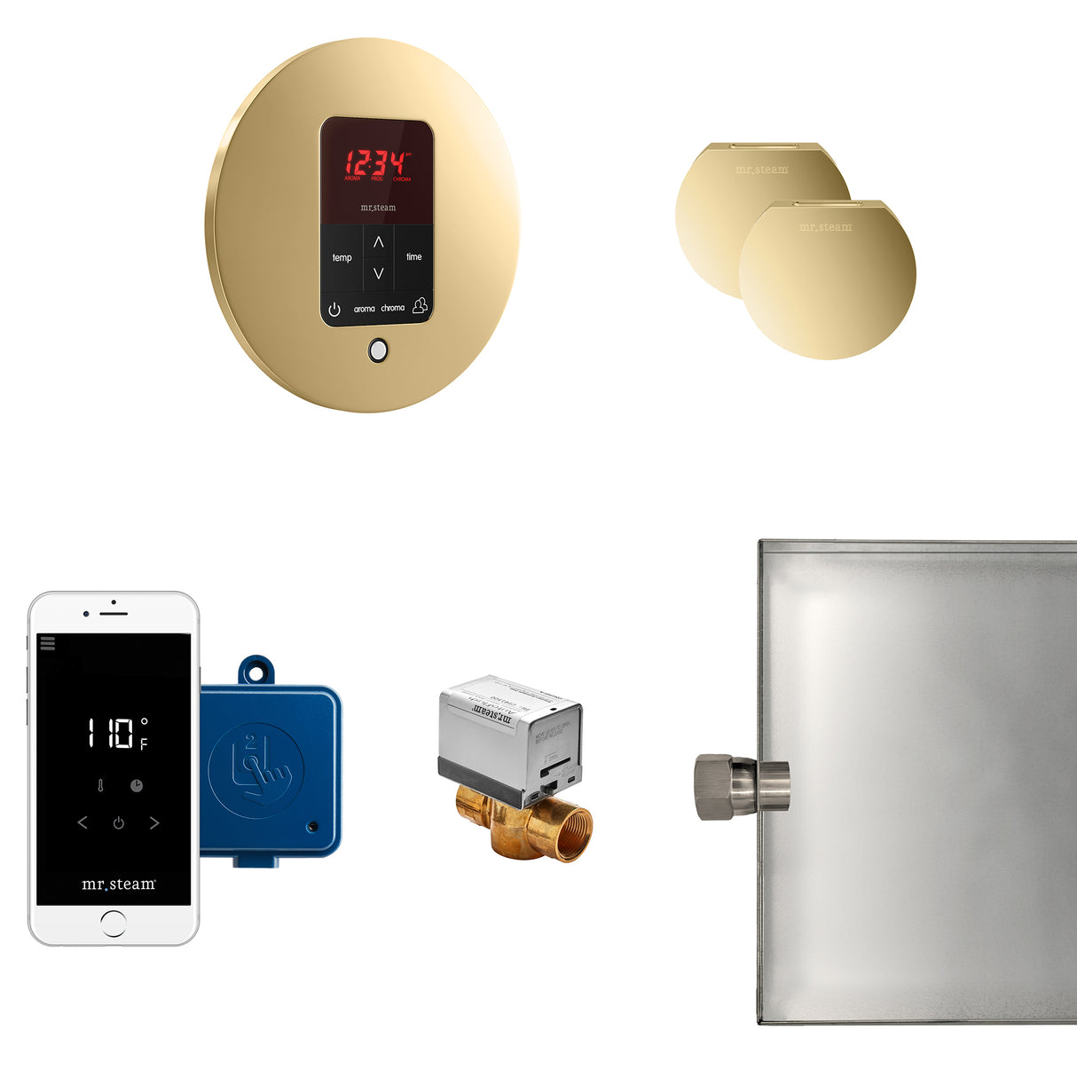 Mr.Steam Butler Max Aroma Designer Steam Shower Control Package
