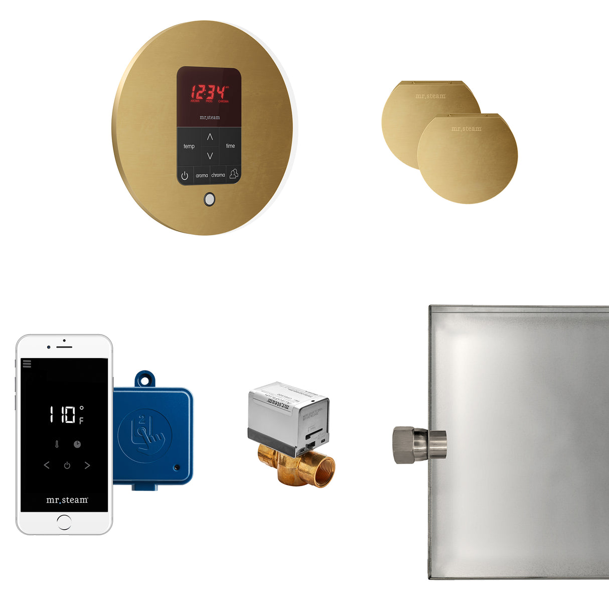 Mr.Steam Butler Max Aroma Designer Steam Shower Control Package