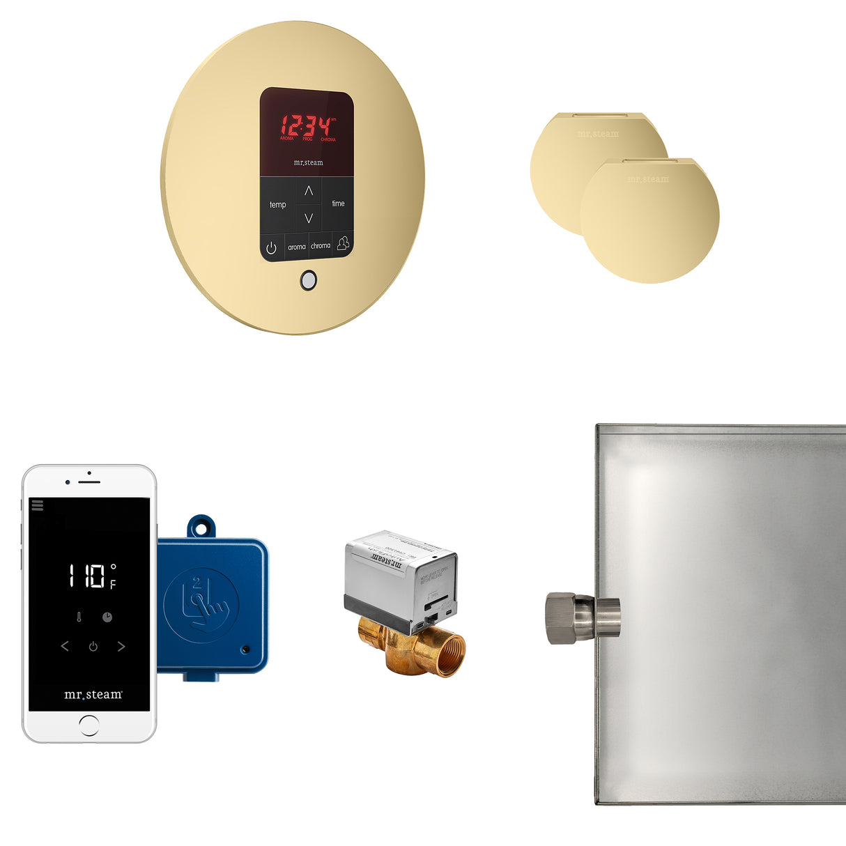 Mr.Steam Butler Max Aroma Designer Steam Shower Control Package