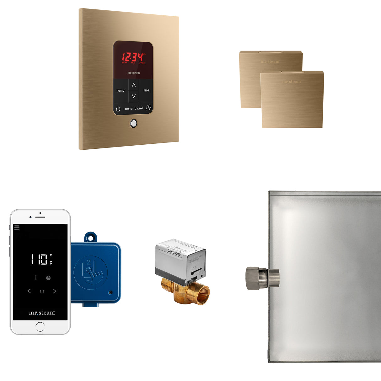 Mr.Steam Butler Max Aroma Designer Steam Shower Control Package