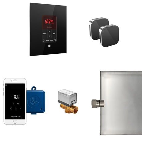 Mr.Steam Butler Max Aroma Designer Steam Shower Control Package