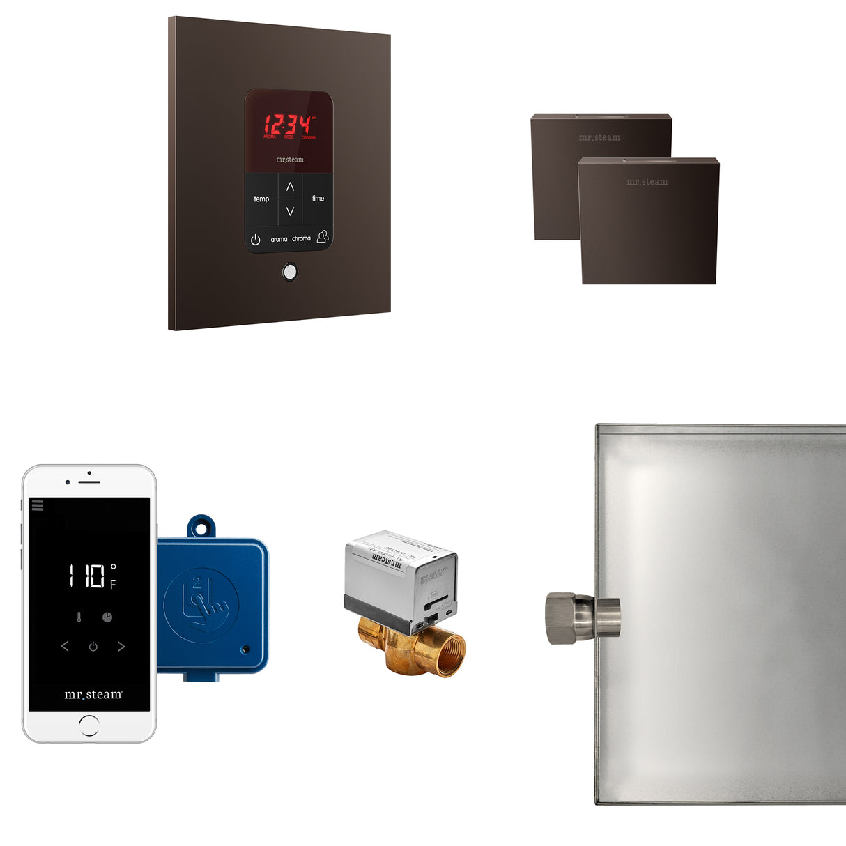 Mr.Steam Butler Max Aroma Designer Steam Shower Control Package