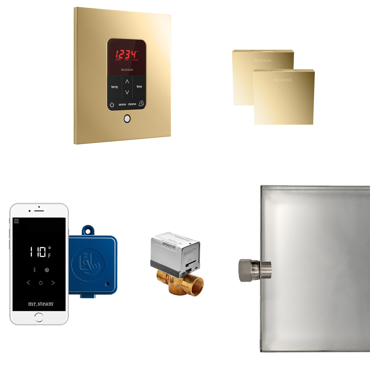 Mr.Steam Butler Max Aroma Designer Steam Shower Control Package