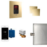 Mr.Steam Butler Max Aroma Designer Steam Shower Control Package