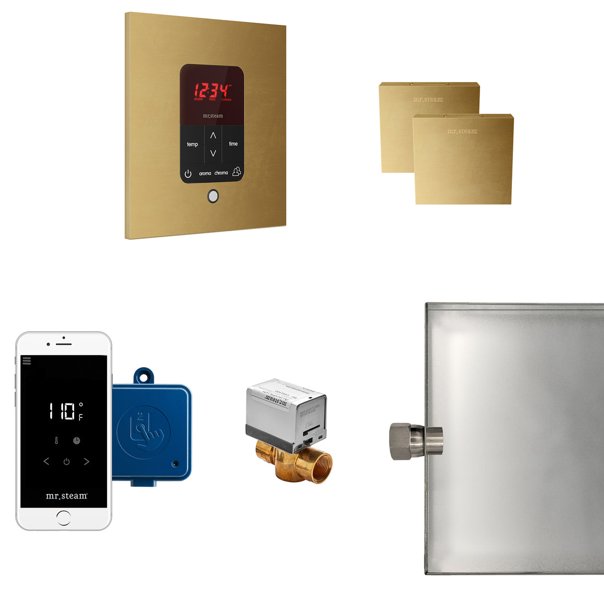 Mr.Steam Butler Max Aroma Designer Steam Shower Control Package