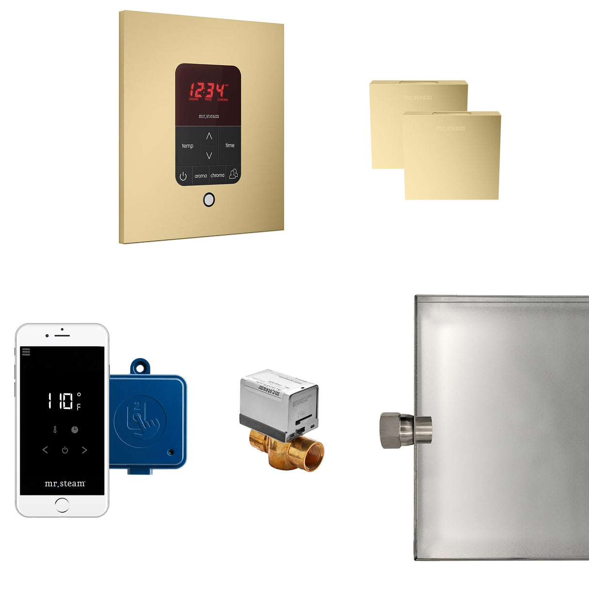 Mr.Steam Butler Max Aroma Designer Steam Shower Control Package