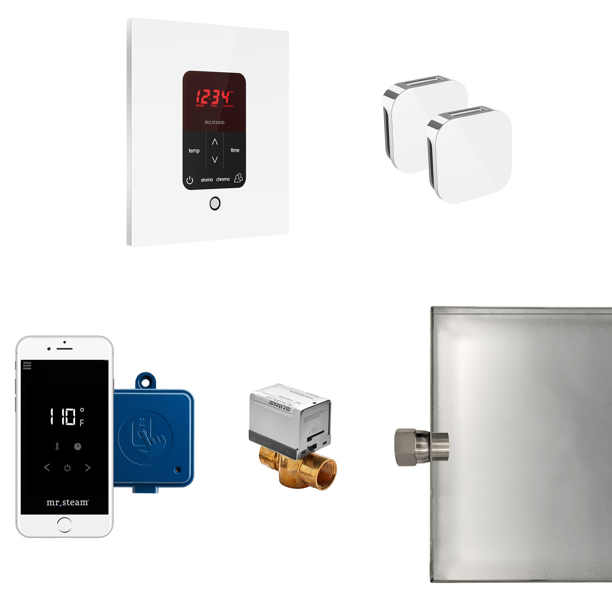 Mr.Steam Butler Max Aroma Designer Steam Shower Control Package