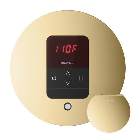 Mr.Steam iTempo Steam Shower Control