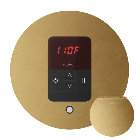 Mr.Steam iTempo Steam Shower Control