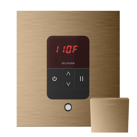 Mr.Steam iTempo Steam Shower Control