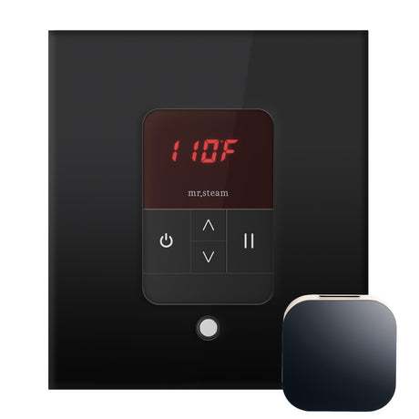 Mr.Steam iTempo Steam Shower Control