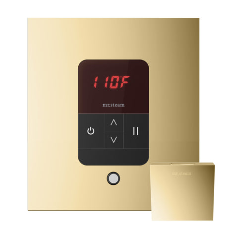 Mr.Steam iTempo Steam Shower Control