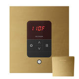 Mr.Steam iTempo Steam Shower Control