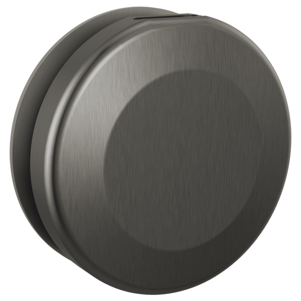 Delta SimpleSteam Classic Steam Shower Head