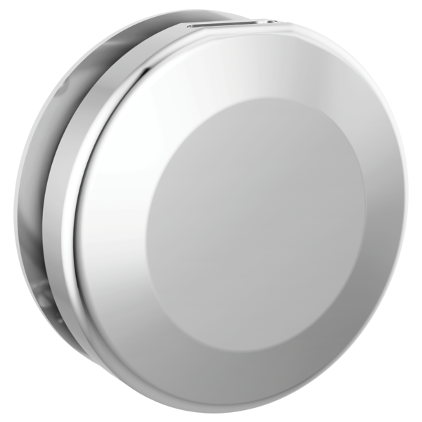 Delta SimpleSteam Classic Steam Shower Head