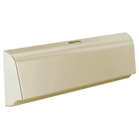 Delta SteamScape Unilateral Steam Shower Head