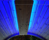 SaunaLife Emood Color Lighting for ERGO Sauna