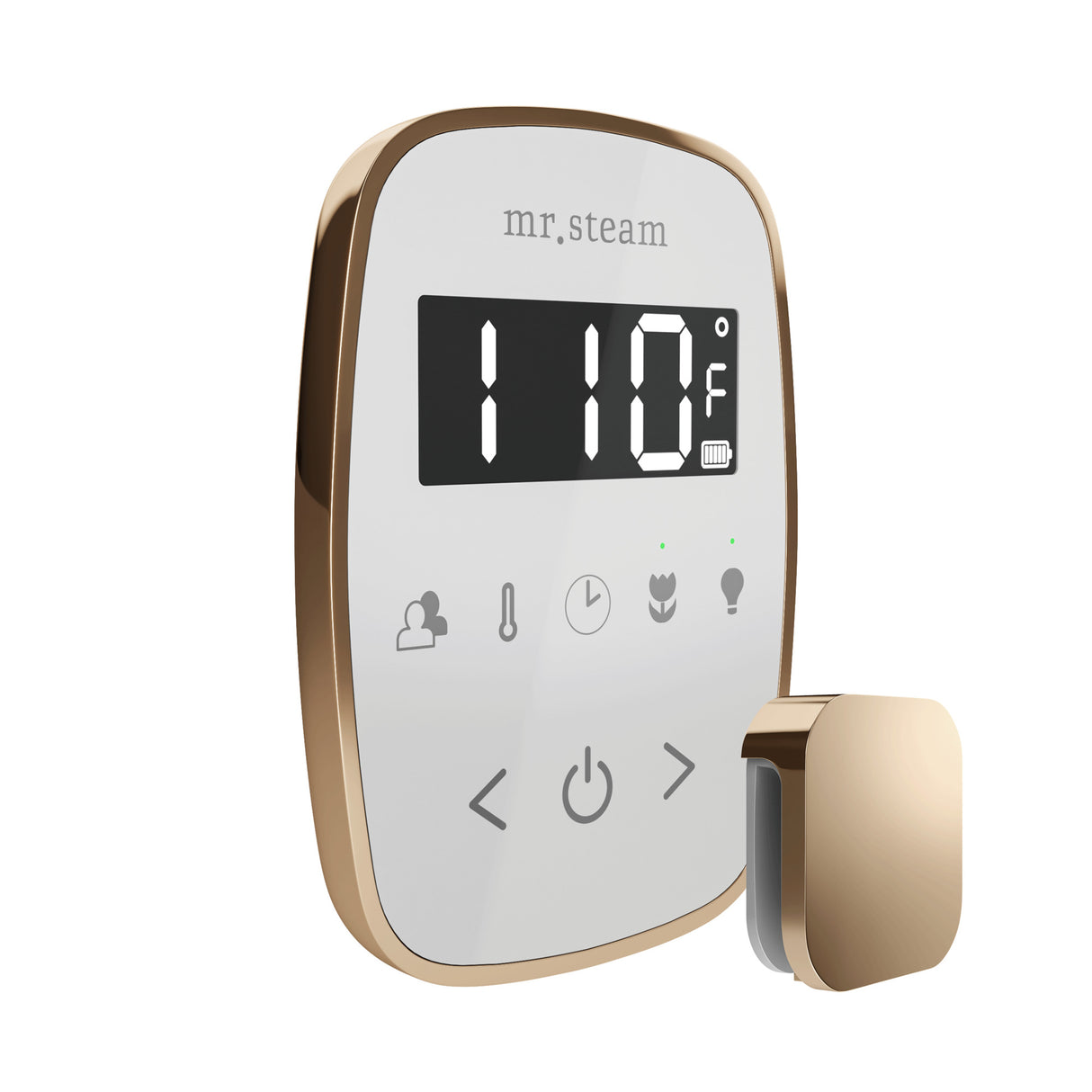 Mr.Steam TempoFlex Steam Shower Control Package