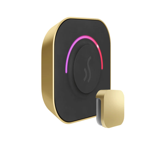Mr.Steam TempoTouch Steam Shower Control Package
