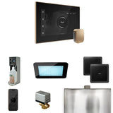 Mr.Steam xDream Steam Shower Control Package