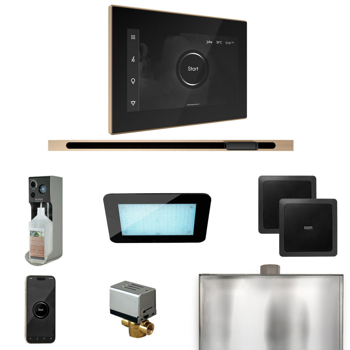 Mr.Steam xDream Linear Steam Shower Control Package