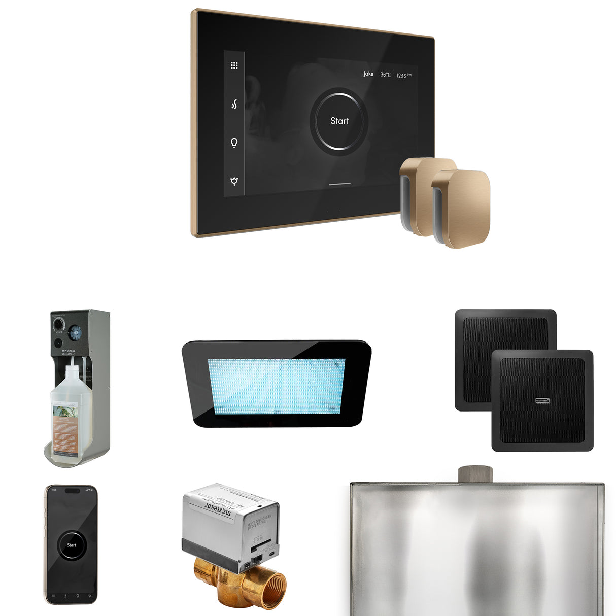 Mr.Steam xDream Max Steam Shower Control Package