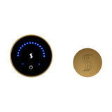 ThermaSol MicroTouch Steam Shower Control with SteamVection Steamhead Kit, Flushmount