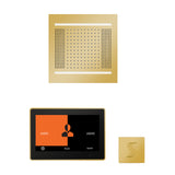 ThermaSol ThermaTouch 10" Steam Control, HydroVive 14" Square, and SteamVection Shower Package