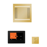 ThermaSol ThermaTouch 7" Steam Control, HydroVive 14" Square, and SteamVection Shower Package